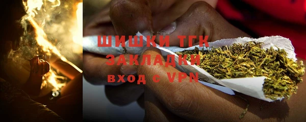 шишки Алексин