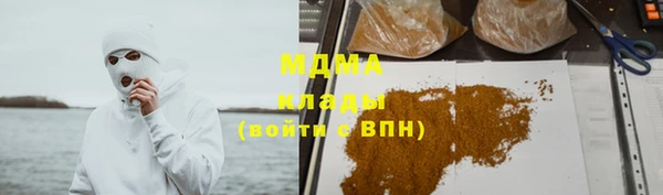 шишки Алексин