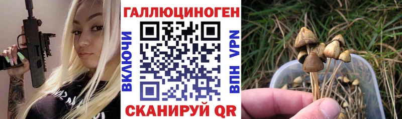 Псилоцибиновые грибы мицелий  hydra ONION  Ува  закладки 